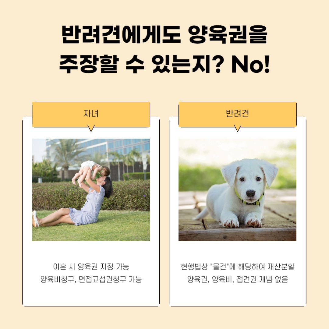 [이혼] 반려견의 양육권, 양육비, 접견권... 소송 가능할까? 이미지 1