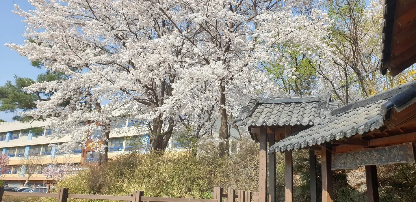 준강간 : 고소취하, 진술거부 등을 통해 불송치(무혐의) 결정 이미지 2