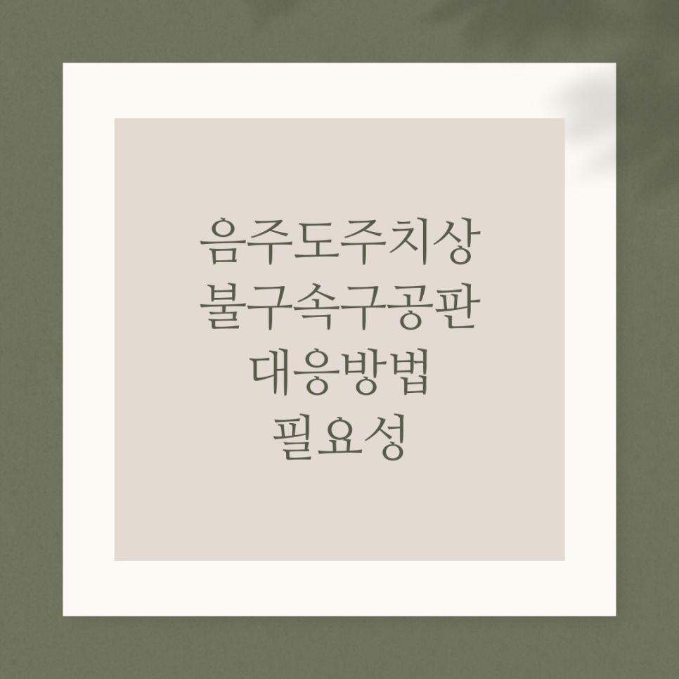 음주도주치상 불구속구공판 대응방법 필요성 이미지 3