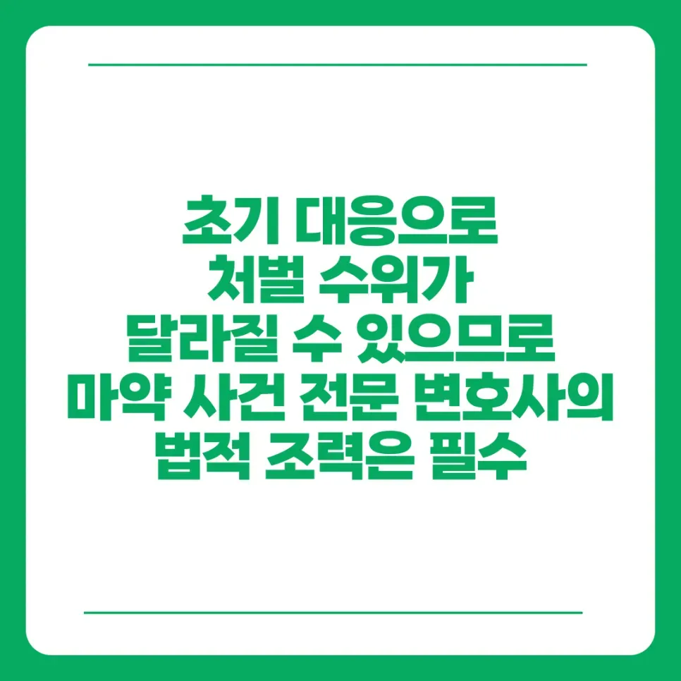 마약사건전문변호사 법적 조력의 필수성 이미지 2