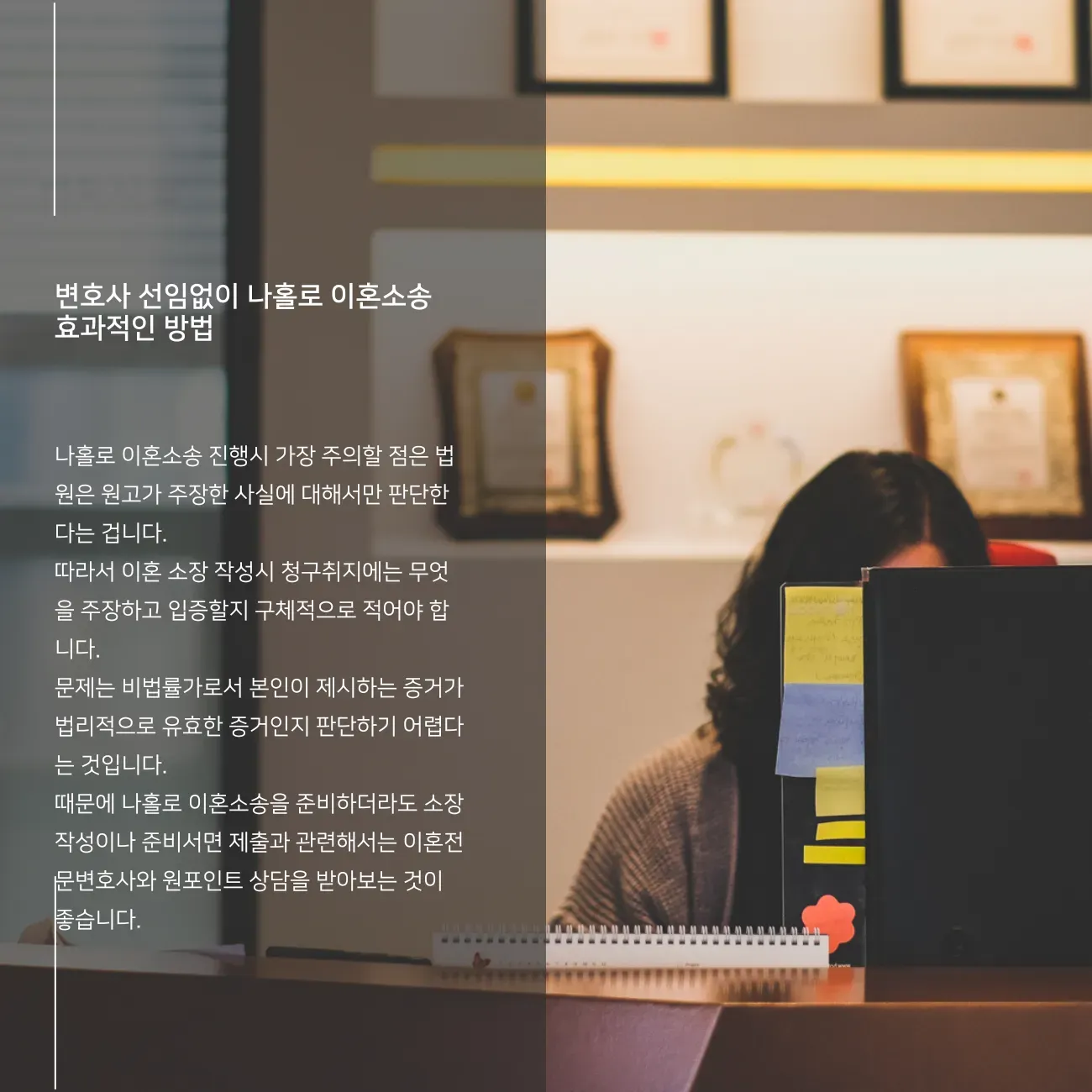 변호사없이 나홀로 이혼소송 꿀팁 그리고 소송구조에 대해 이미지 1