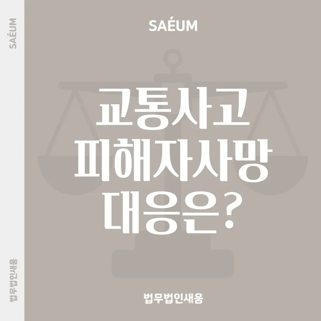 교통사고처리특례법 치사죄 피해자 사망시 대응은 이미지 1