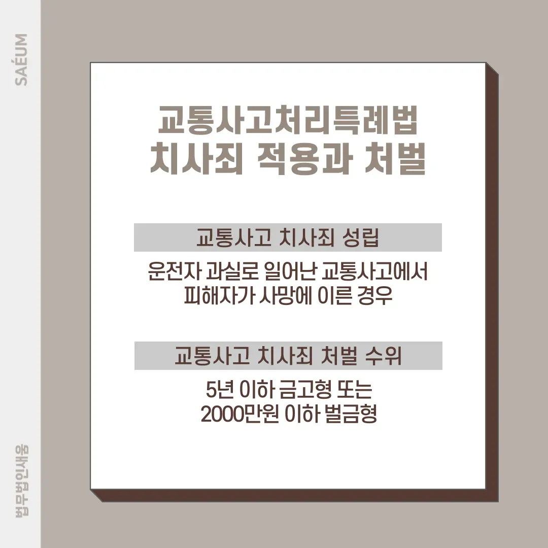 교통사고처리특례법 치사죄 피해자 사망시 대응은 이미지 2