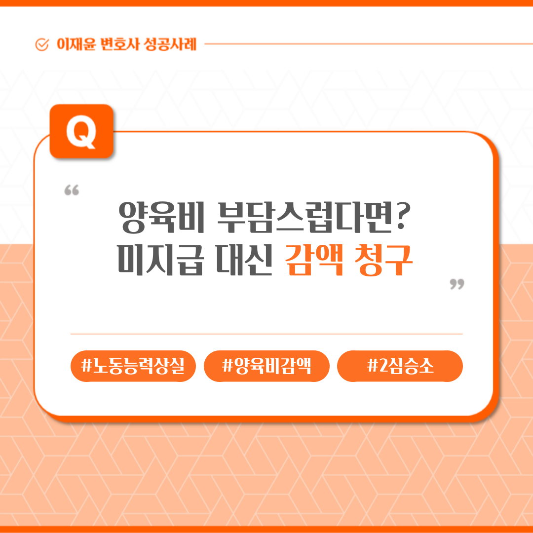 양육비 부담스럽다면? 미지급 대신 감액 청구 소송 이미지 1