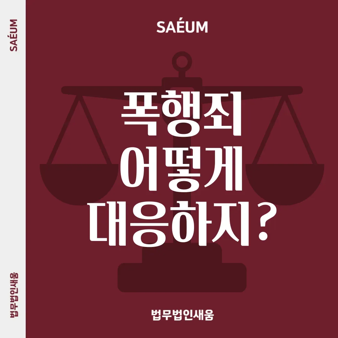 단순폭행 벌금 가능성 및 폭행죄 고소 시 대응 방안 이미지 1
