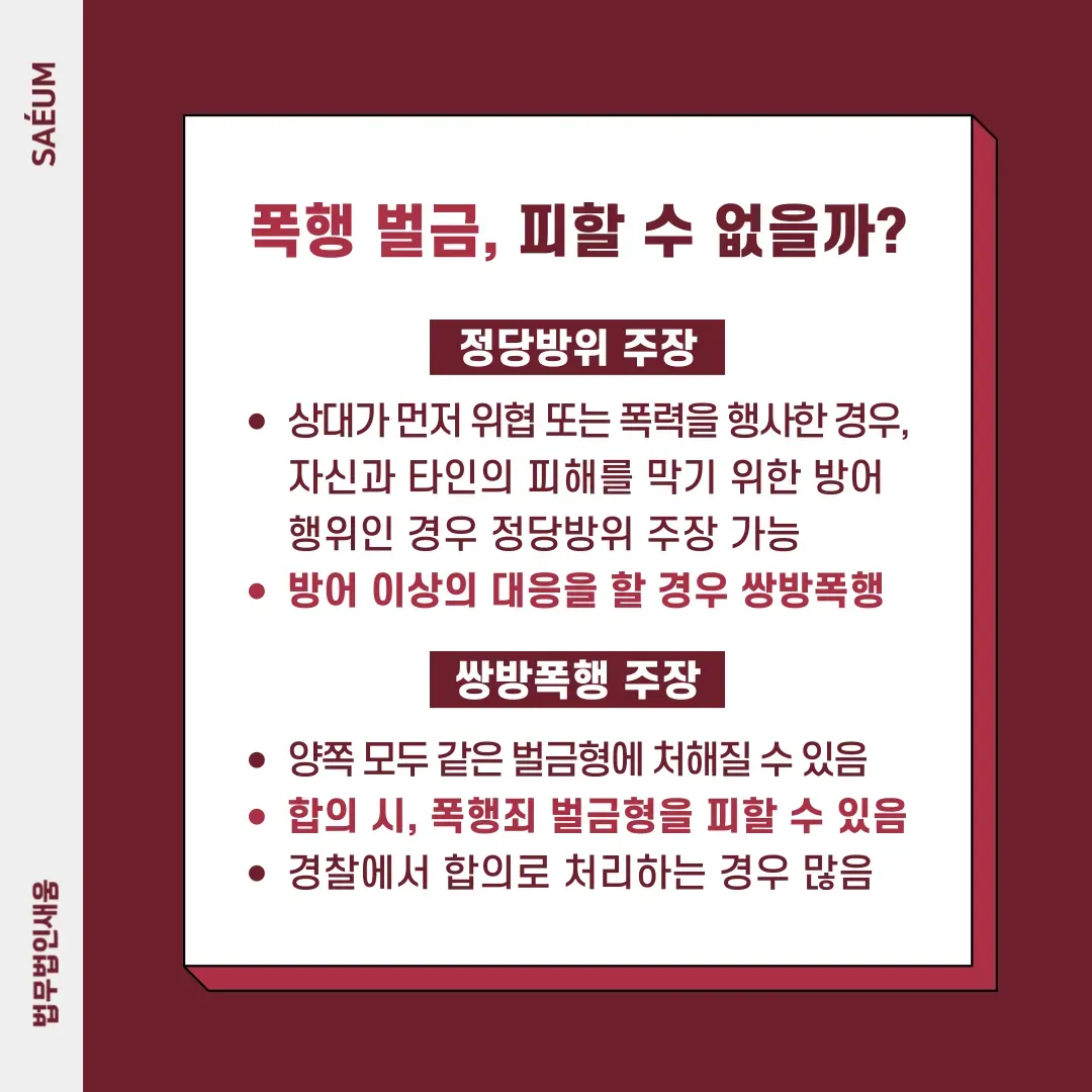 단순폭행 벌금 가능성 및 폭행죄 고소 시 대응 방안 이미지 2