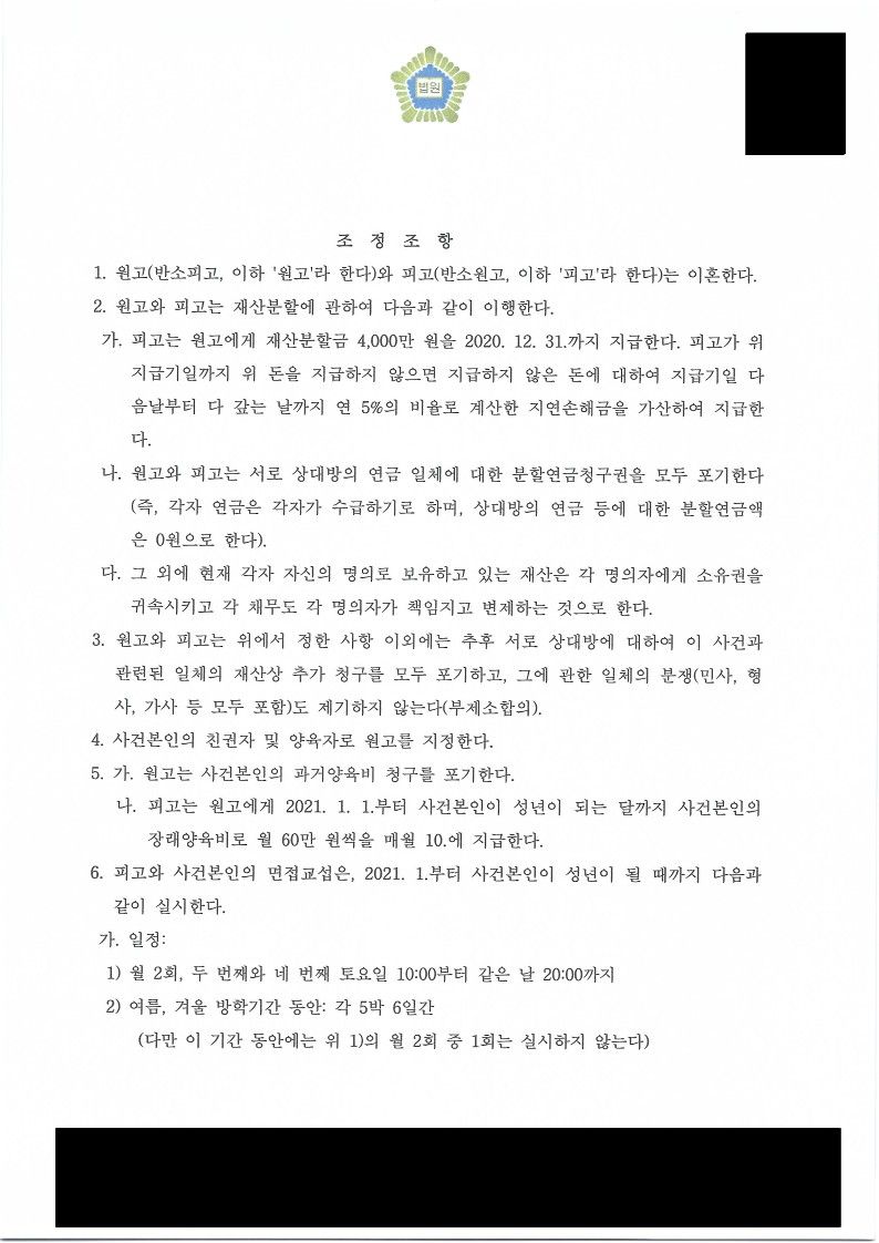 조정이혼 재산분할 및 위자료, 장래양육비 감액 성공사례 이미지 2