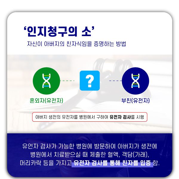 혼외자 상속, 정당한 상속권을 주장하는 방법 이미지 3
