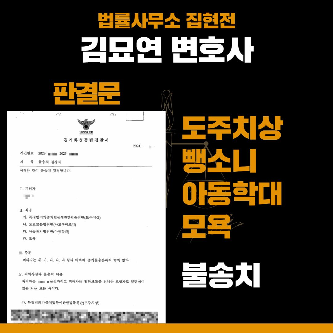뺑소니, 경찰에서 무혐의로 종결한 성공사례 이미지 1