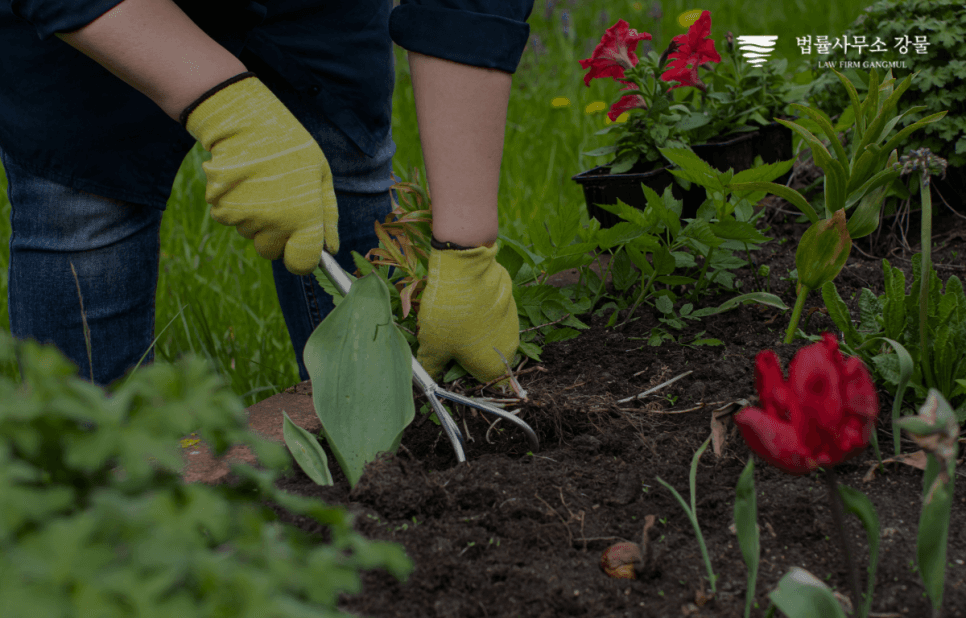 수원 조사동석 변호사 조력으로 이룬 불송치 성공 사례 이미지 2