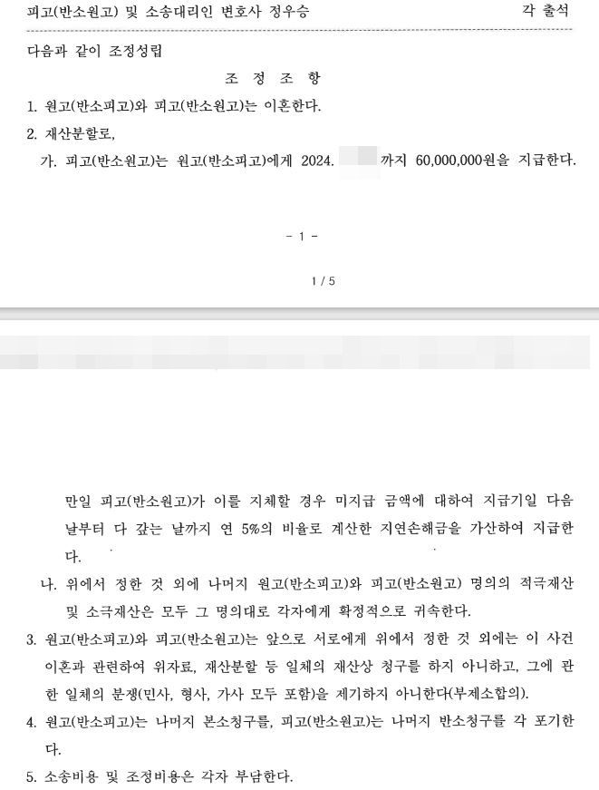 [이혼]반소 청구를 통하여 상대방 청구 금액을 절반으로 감액 이미지 1