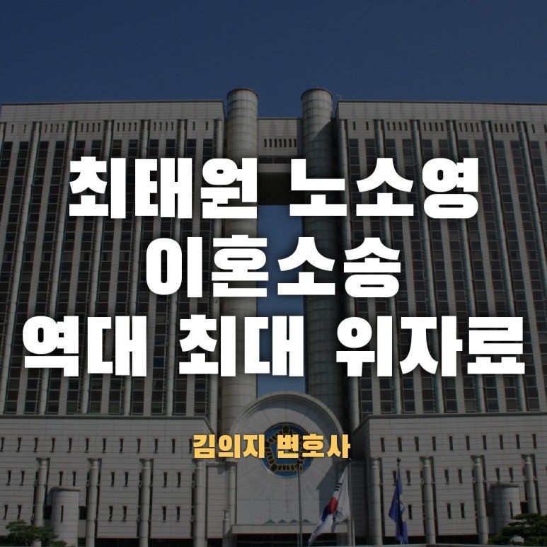 [최태원노소영]역대최고 위자료 20억! 간통 폐지후 제재공백메워 이미지 1