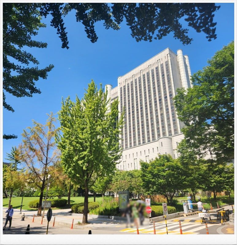 어머니 홀로 부양한경우 다른 형제들에게 부양료 구상청구 가능할까 이미지 3