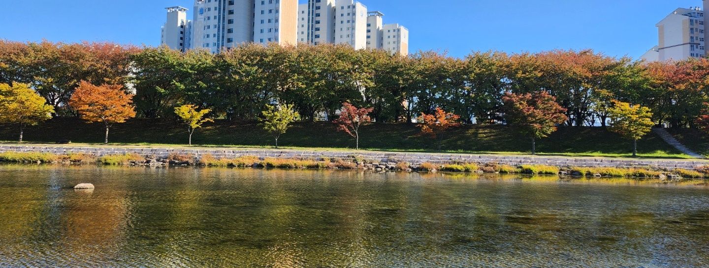 양육권소송 후 아이를 데려올 수 없다면? 해결 사례 이미지 1