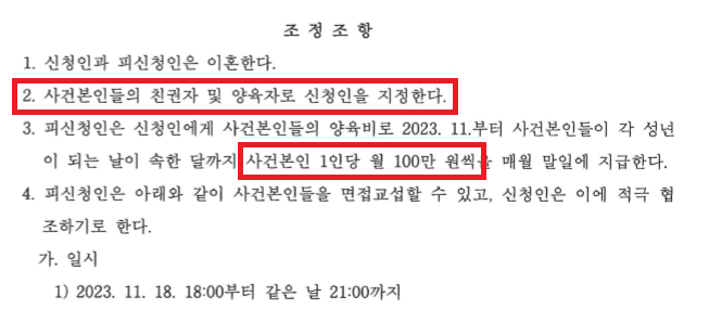 아빠양육권 지킨 이혼조정사례 이미지 4