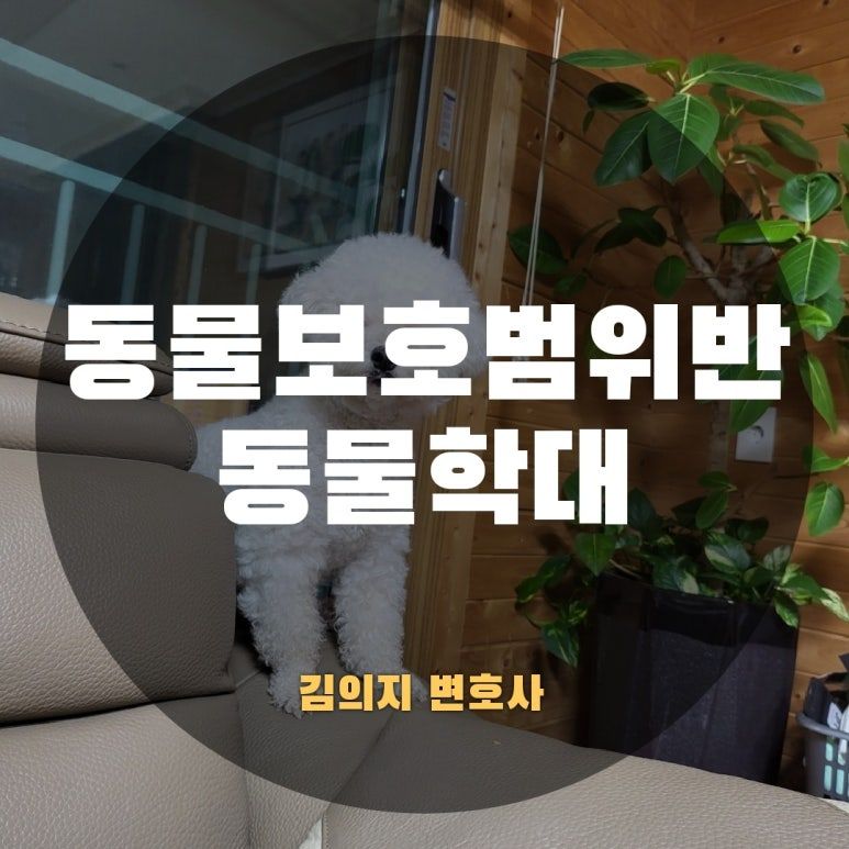 학대에는 처벌을! 변호사가 알려주는 동물보호법위반 동물학대 이미지 1