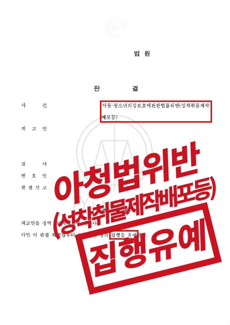 아청법위반(성착취물제작배포등) - 집행유예 이미지 1