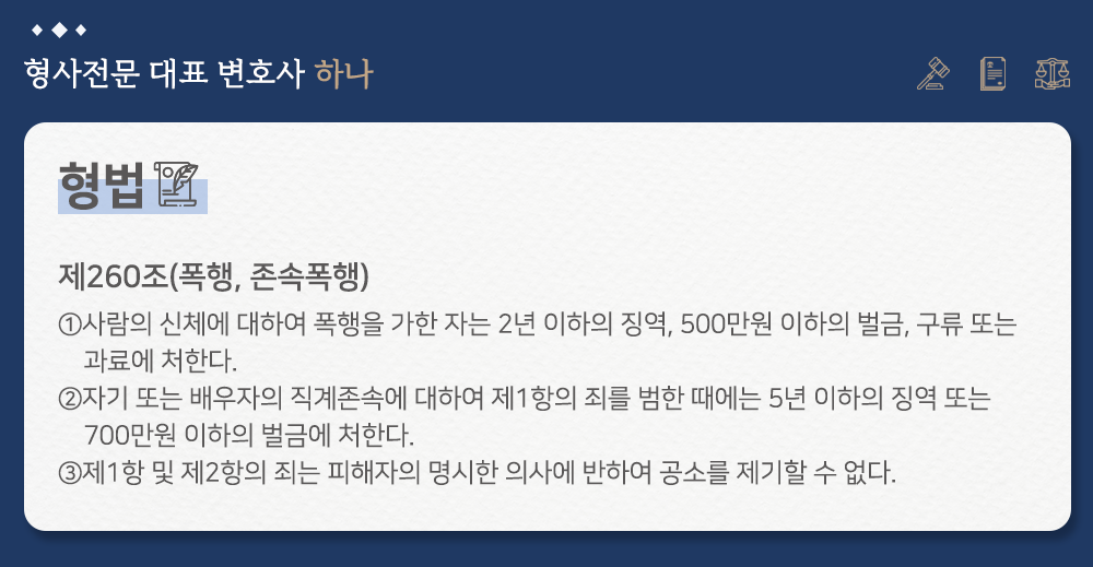 고소대리(폭행) 성공 사례 이미지 2