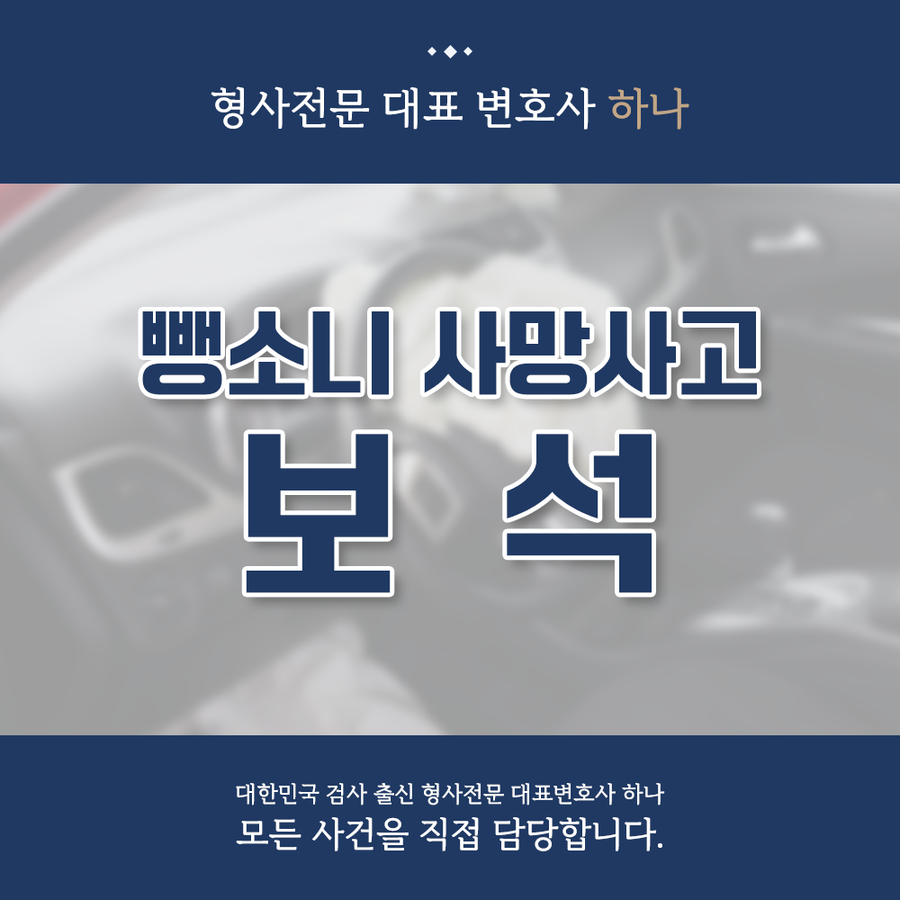 뺑소니 사망사고 구속기소된 피고인 보석 사례 이미지 1