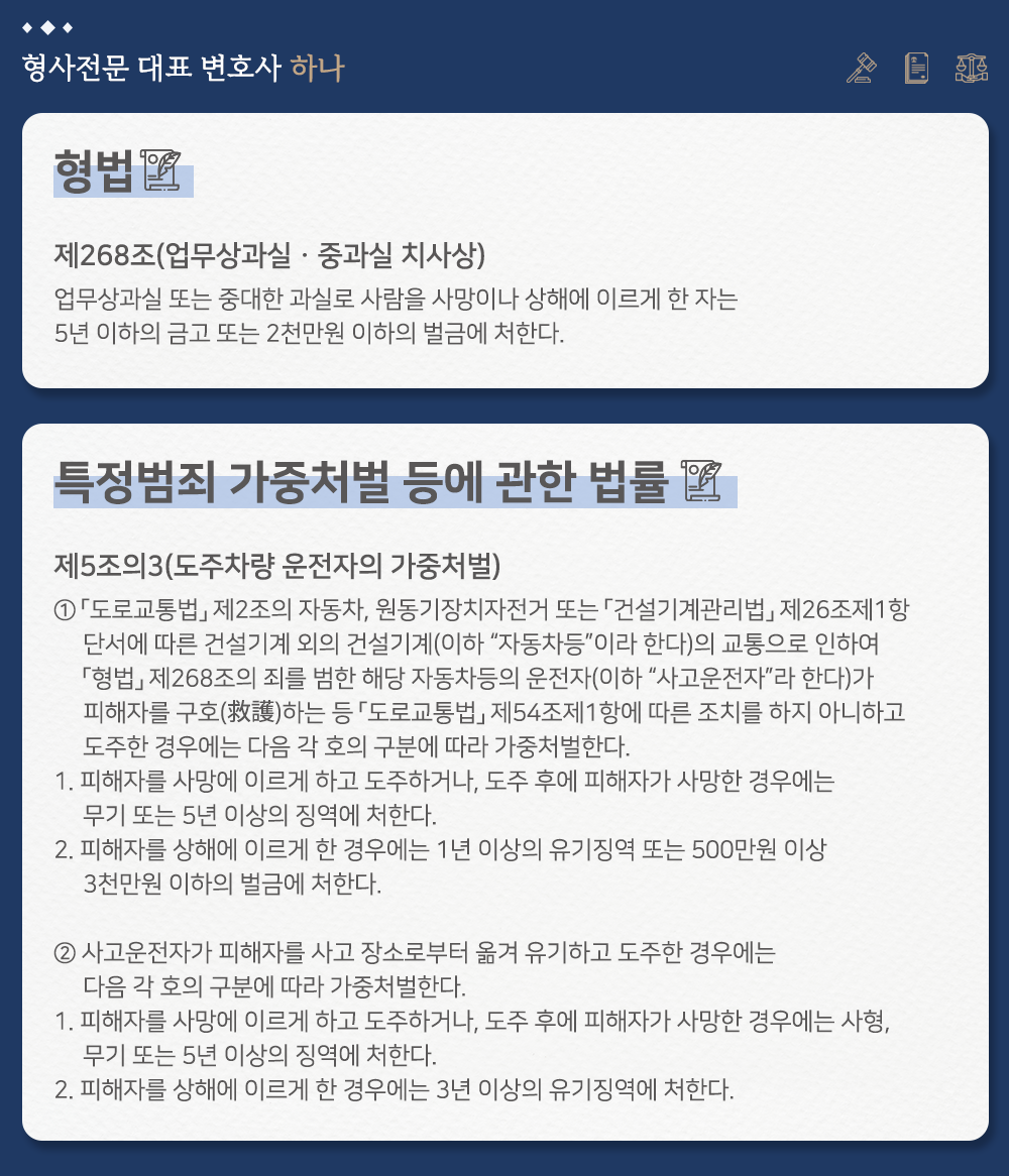 뺑소니 사망사고 구속기소된 피고인 보석 사례 이미지 2