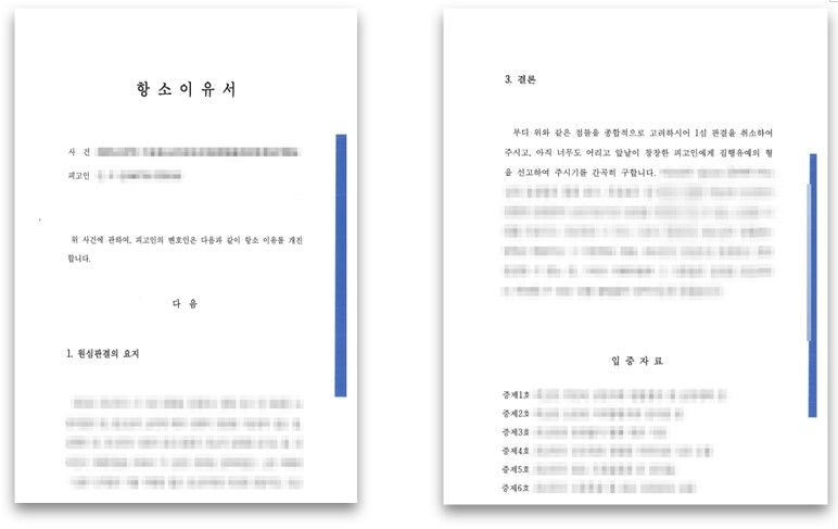 아청법위반 2심 집행유예 판결을 이끌어낸 사례 이미지 1