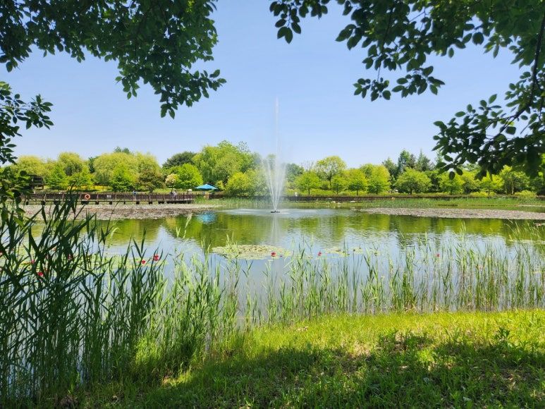 이혼 시 친권자 및 양육자 변경: 대법원이 제시한 핵심 고려사항 이미지 3