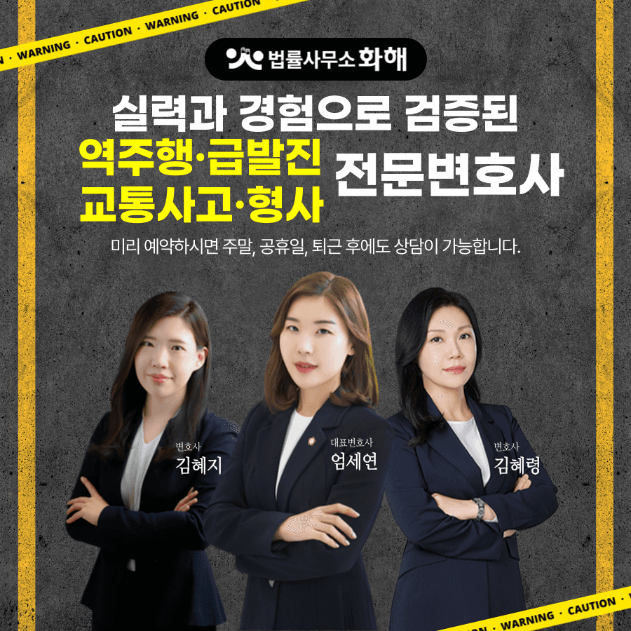 서울 시청역 급발진 역주행 교통사고 운전자 처벌은? 이미지 5