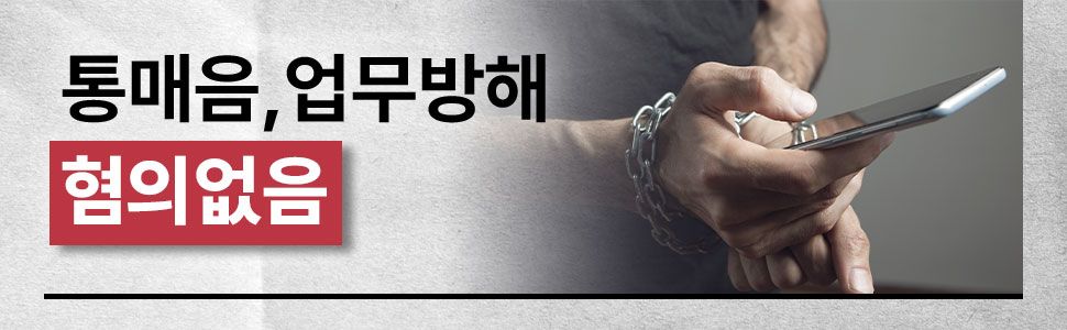 통신매체이용음란 및 업무방해 혐의없음 성공사례 이미지 1