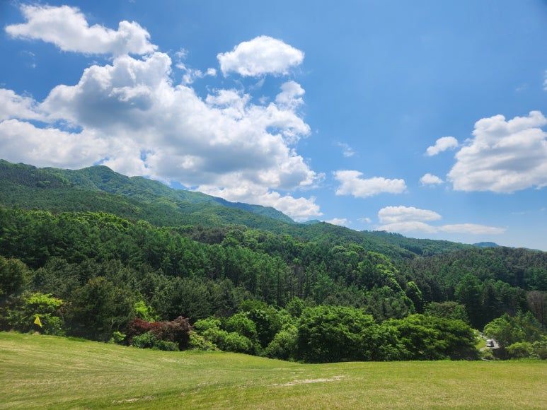 이혼 시 친권자 및 양육자 지정: 법적 기준과 변경 절차 이미지 2